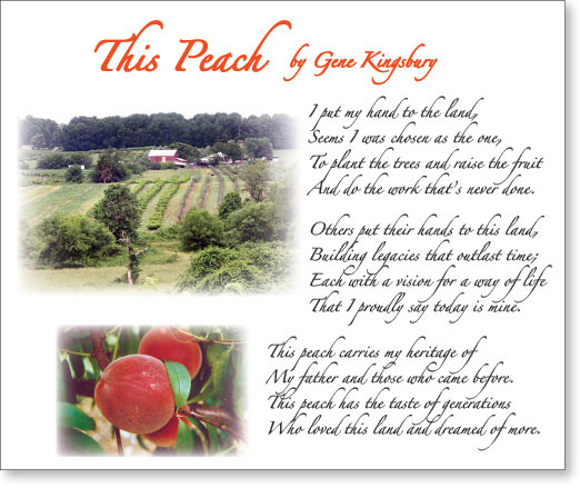 Kingsbury Peach Poem, "This Peach"