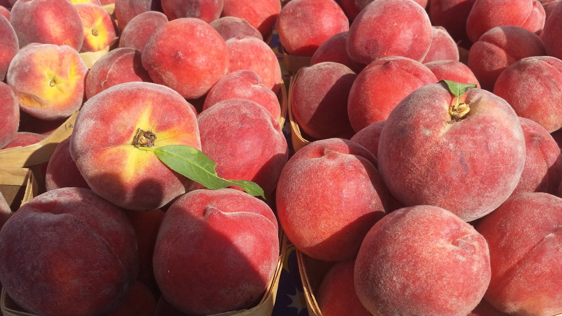 Picked Peaches